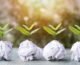 The Environmental Impact of Tissue Paper: How Hellofin Papers Leads in Sustainability
